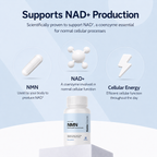 Pure NMN | 500mg Capsules