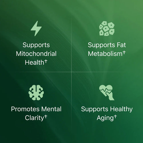 Amla Superfruit Capsules