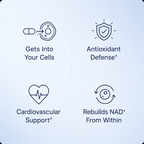 Pure NMN | 500mg Capsules