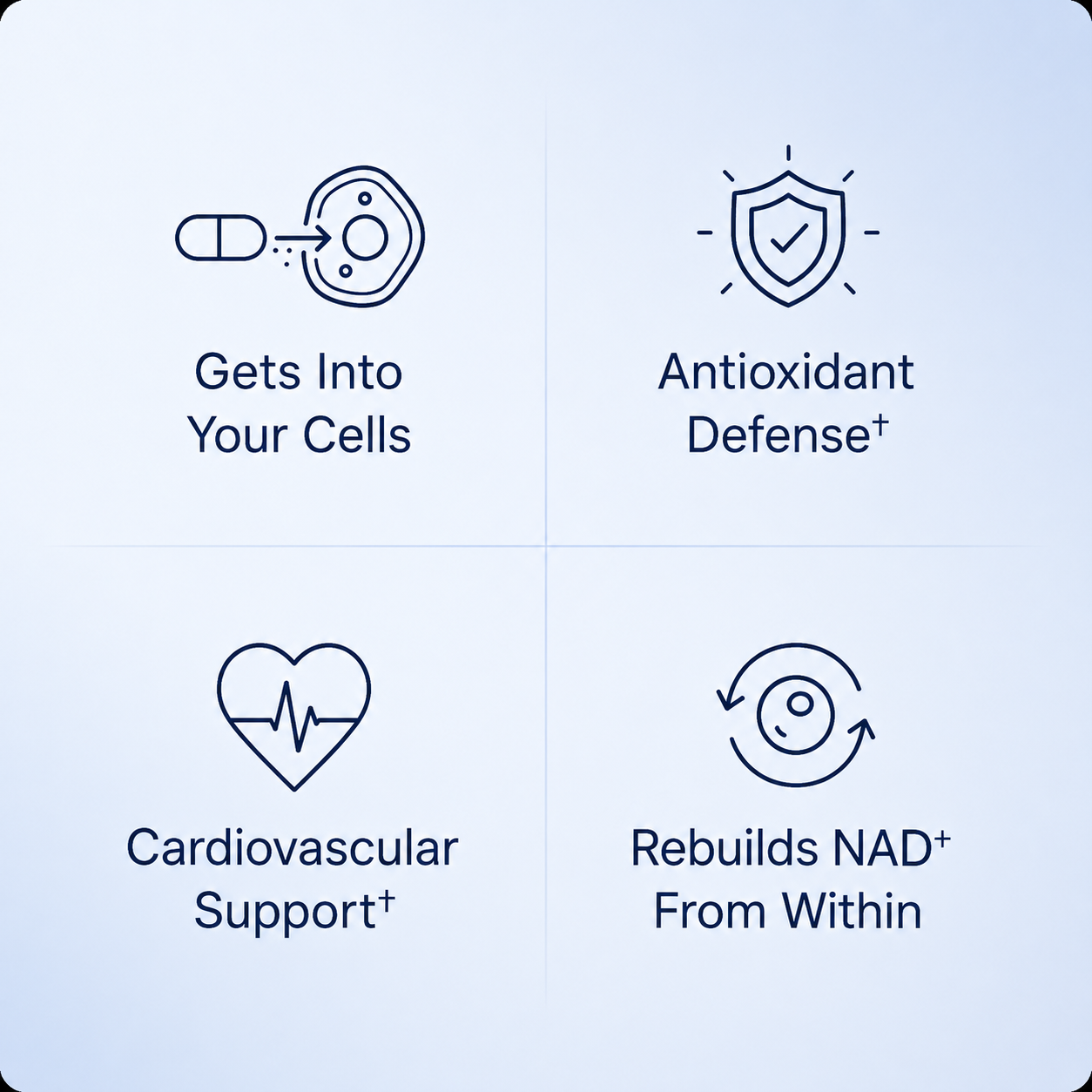 Pure NMN | 500mg Capsules