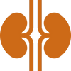 Kidney Support