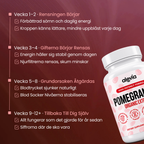 Alevia's Pomegranate SE