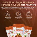 Ceylon Cinnamon 7200mg Equivalent with MCT Oil