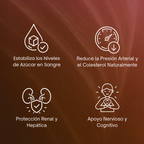 Canela de Ceilán Equivalente a 7200mg con Aceite MCT