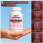 Alevia's Pomegranate SE