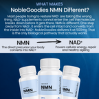 Pure NMN | 500mg Capsules