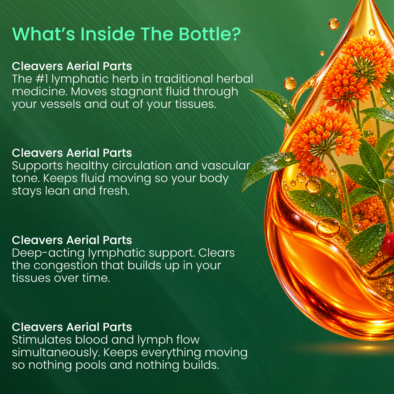 Lymphoria® Lymphatic Drainage Drops