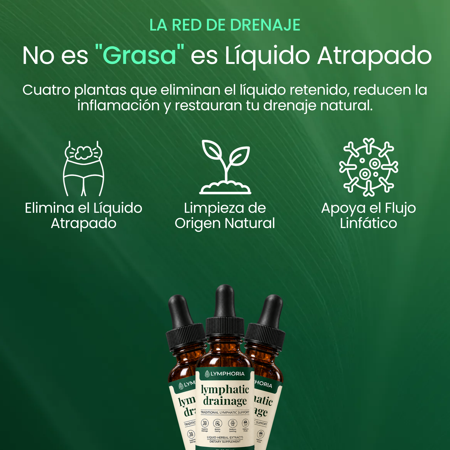 Lymphoria® Gotas de Drenaje Linfático