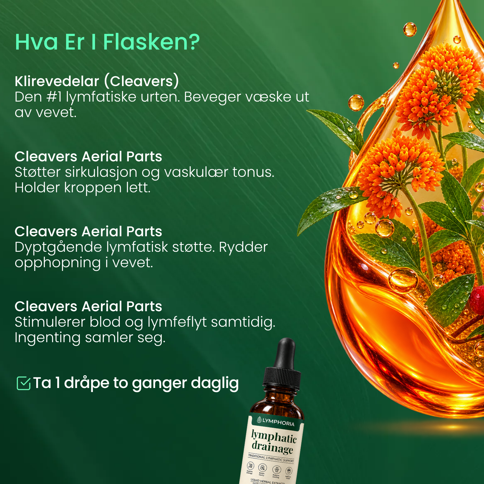 Lymphoria® Lymfatiske Drenerings Dråper