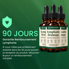 Lymphoria® Drainage Lymphatique