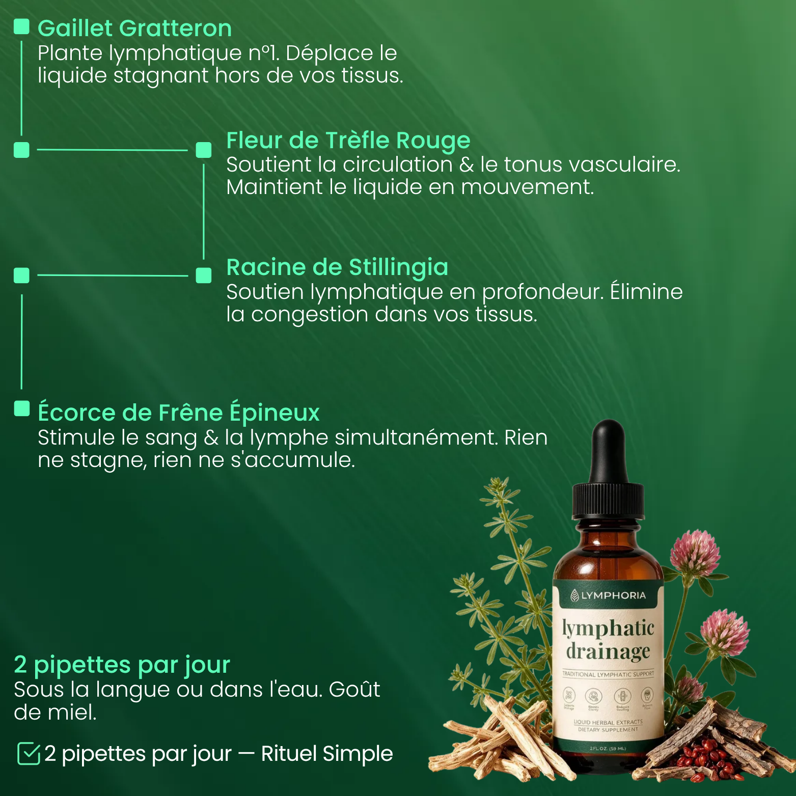 Lymphoria® Drainage Lymphatique