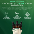 Lymphoria® Drainage Lymphatique
