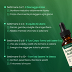 Lymphoria® Drenaggio Linfatico