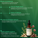 Lymphoria® Drenaggio Linfatico